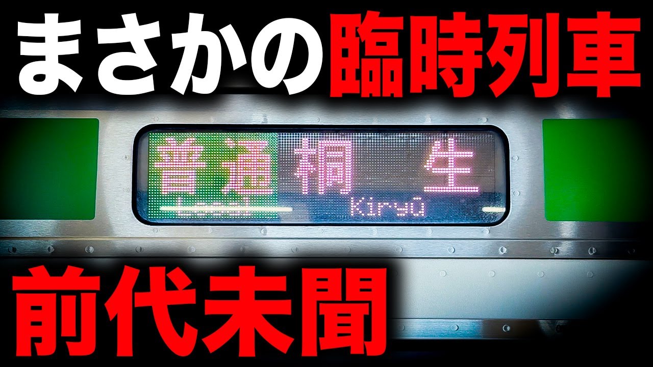 【史上初】まさかの車両で運転された両毛線の臨時列車に乗ってきた　あしかがフラワーパーク