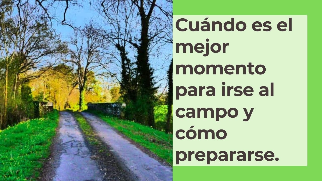 Cuándo DEJAR LA CIUDAD e IRSE AL CAMPO y cómo prepararse 🌄🤗