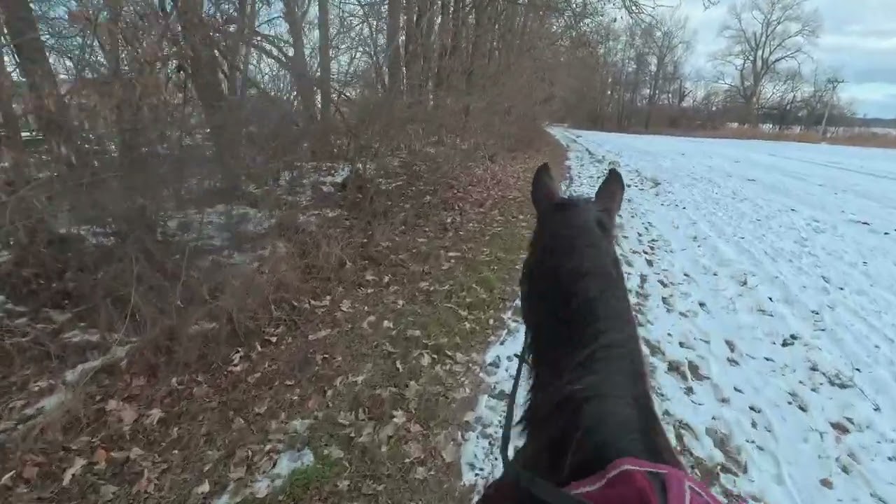 Vyjížďka zimní krajinou