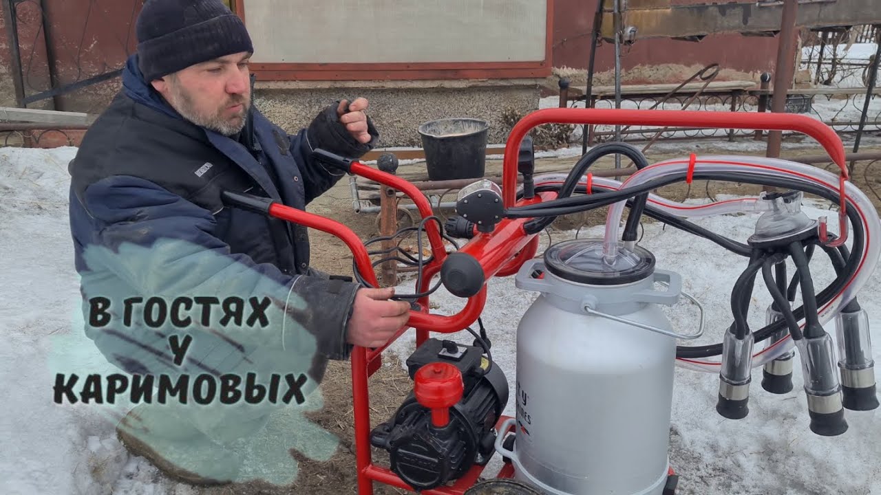 Доильный аппарат производство Турция плюсы и минусы
