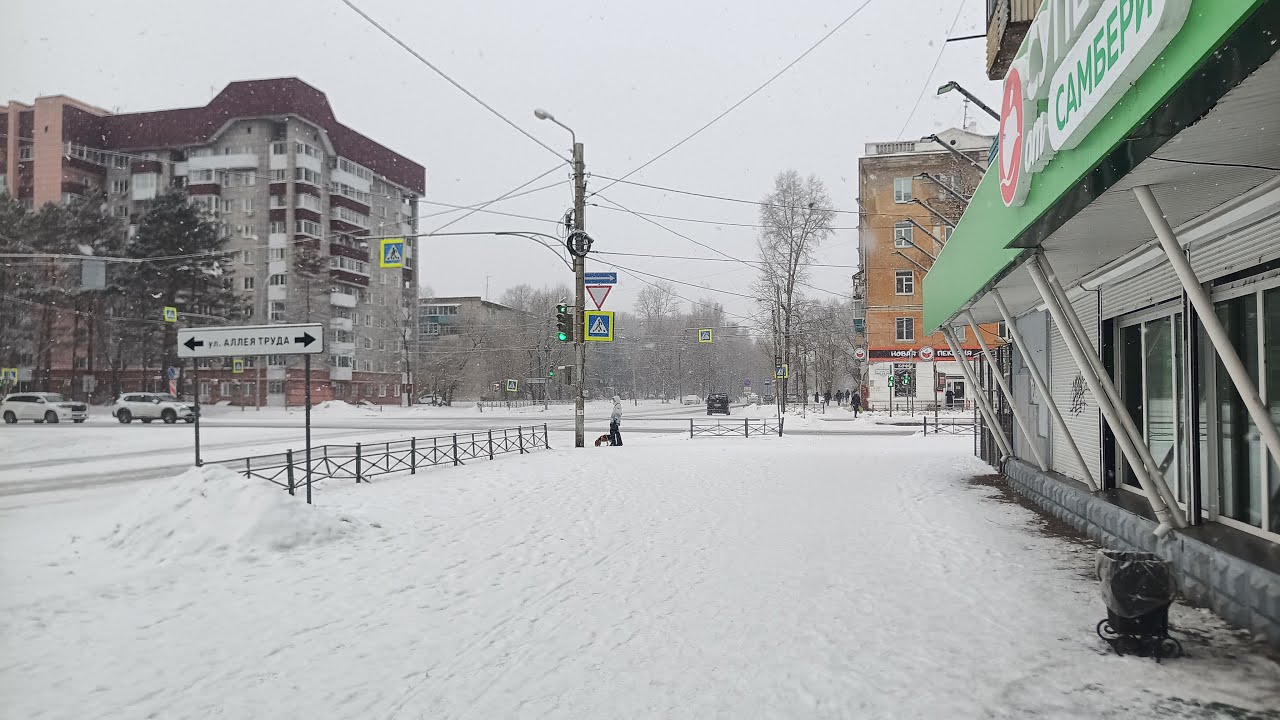 Комсомольск,декабрь, снегопад, елка