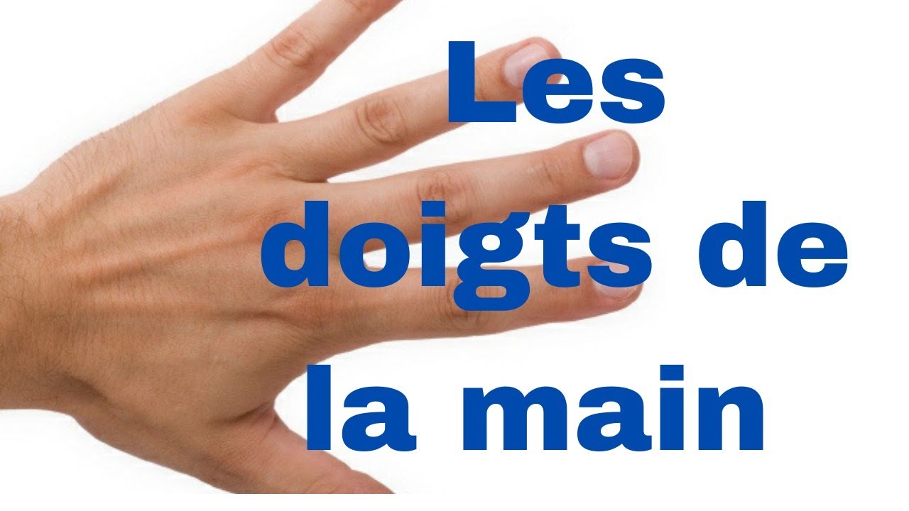 Les doigts de la main ✋🏼~ apprendre en fran&ccedil;ais