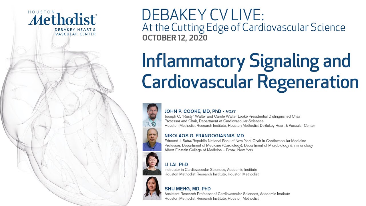Inflammatory Signaling and Cardiovascular Regeneration (John P. Cooke, MD) October 12, 2020