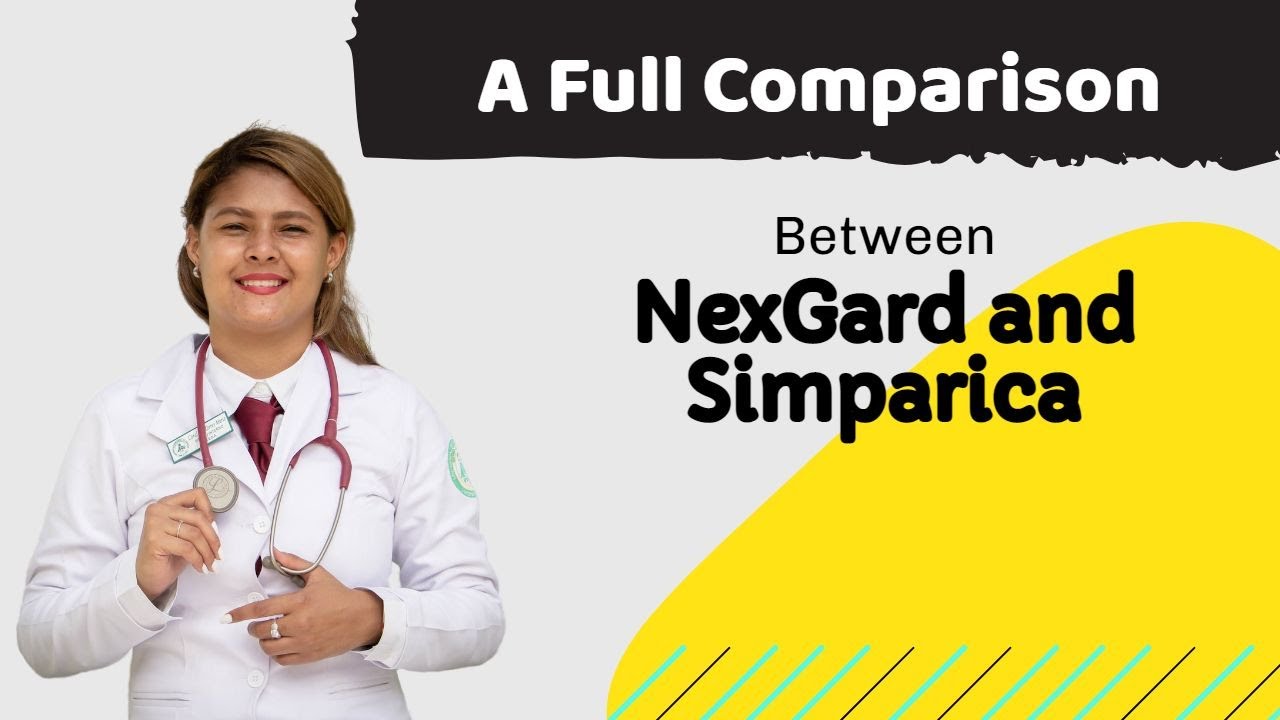 NexGard vs Simparica: a full comparison
