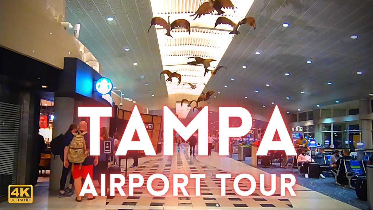 Tampa Airport Tour International 4k TPA