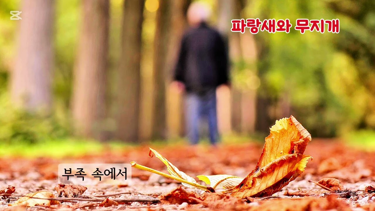 ■장성현가곡교실 [2969] 파랑새와 무지개 ♡노유섭 시/이하나 작곡 