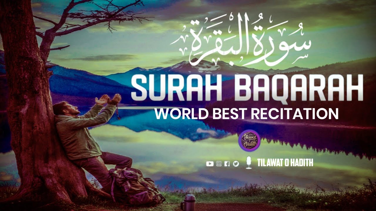 Most Peaceful Quran Recitation - Surah Al Baqarah Full @tilawatohadith 