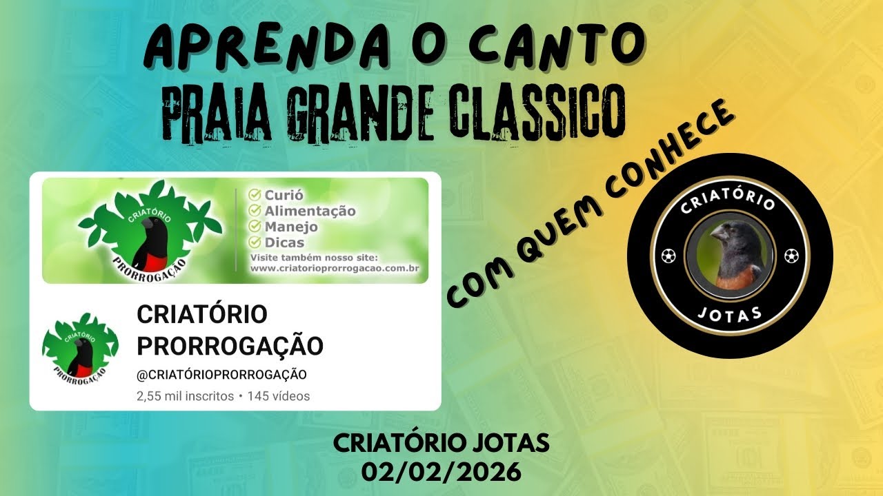 Esse vídeo é pra Você que deseja aprender o Canto do Curió  PGC .