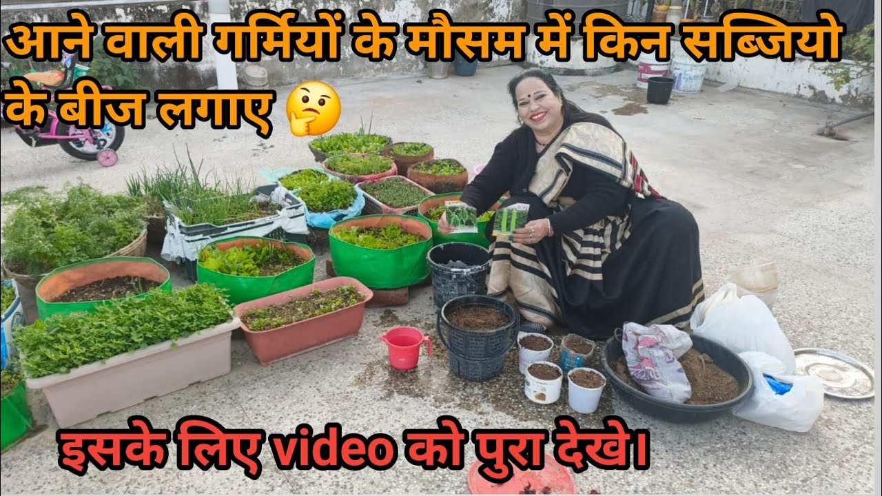 आने वाले गर्मियों के मौसम में कौनसी सब्जियों के बीज लगाये 🤔