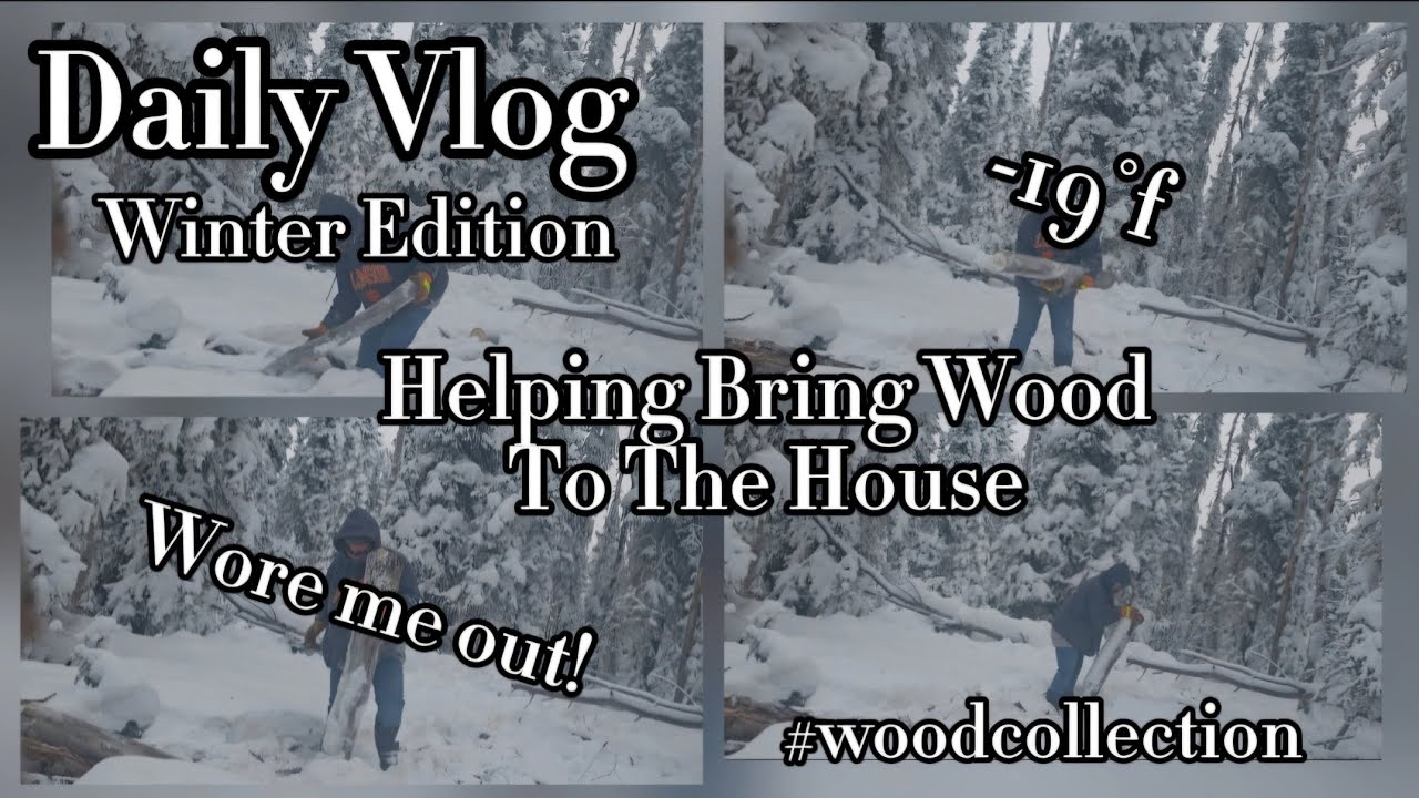 Getting the wood Chris cut at -19°f and pulling it to the house 