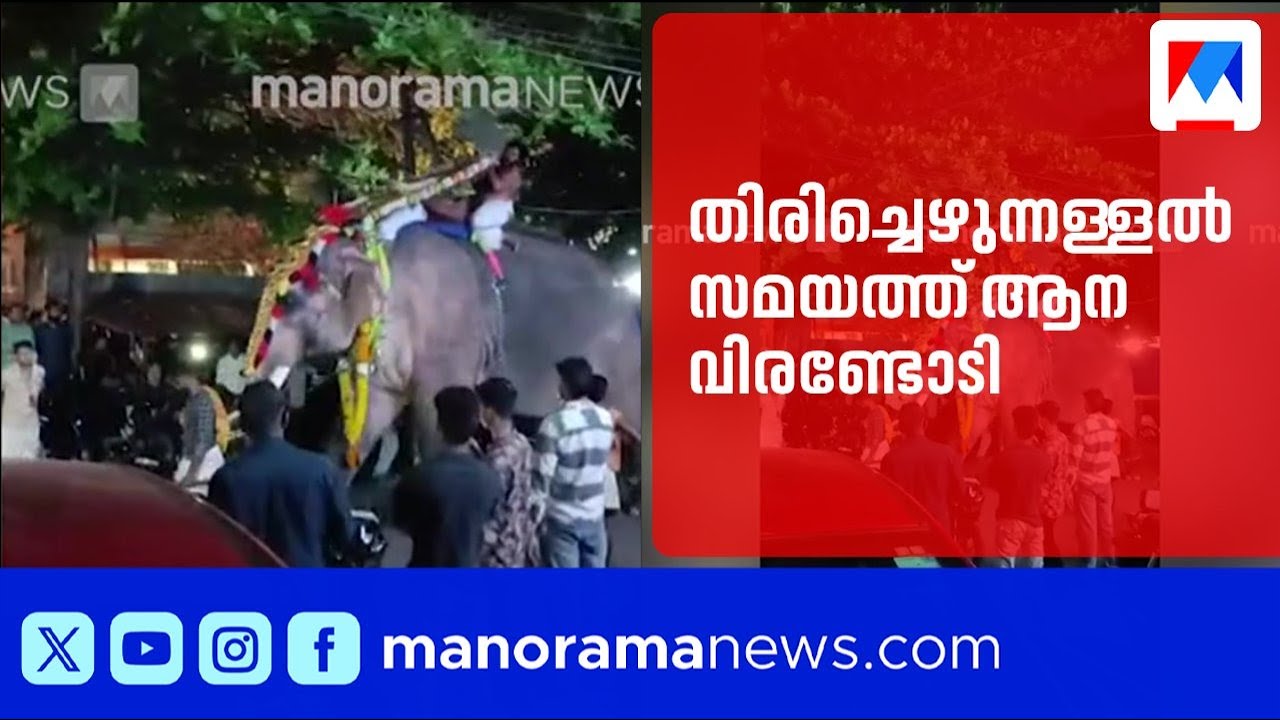 ഹൈഡ്രജൻ ബലൂൺ പൊട്ടിയ ശബ്ദം; പാലക്കാട് ക്ഷേത്രോത്സവത്തിൽ ആന വിരണ്ടോടി | Palakkad