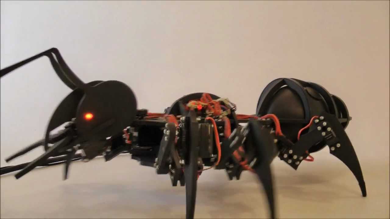 Robot ant