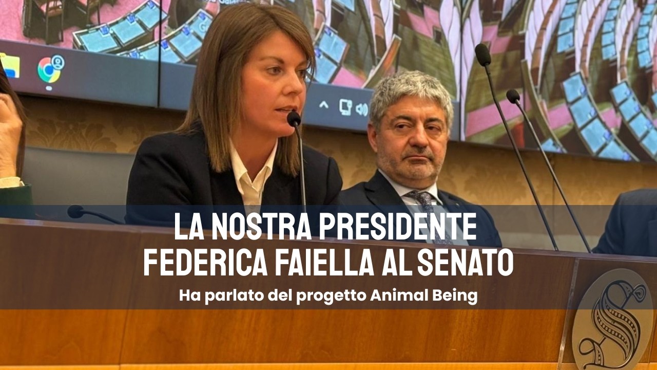 Fondazione Cave Canem al Senato: Federica Faiella racconta il valore concreto della gentilezza.