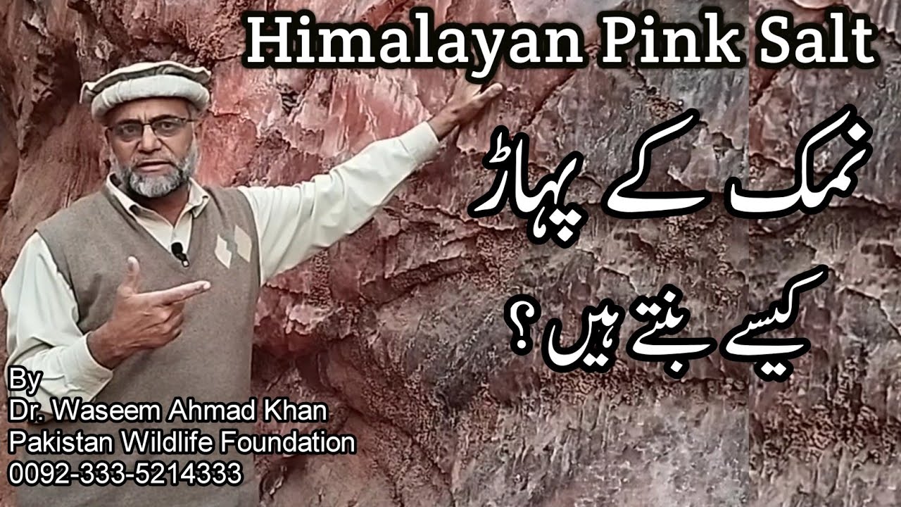 How Are Salt Mountains Formed | Namak K Pahad Kaisay Bantay Hain | Pink Himalayan Salt Mountains