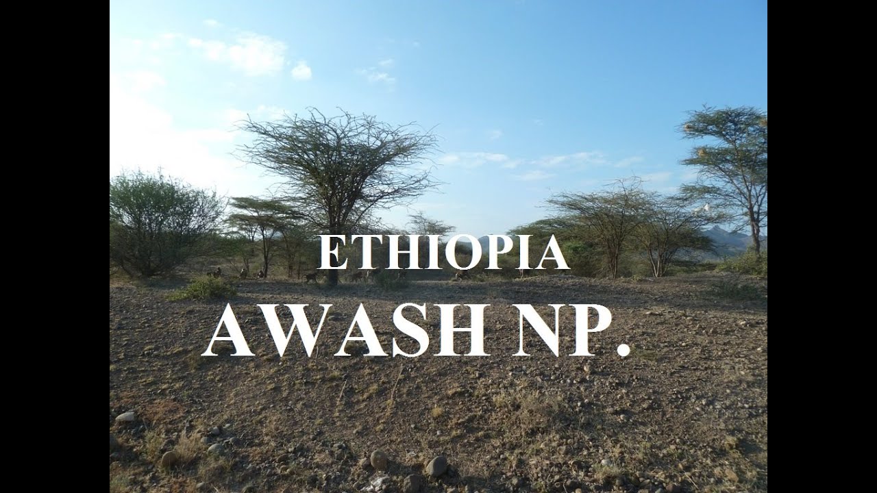 Ethiopia (Kombolcha to Awash)Afar Region Part 31