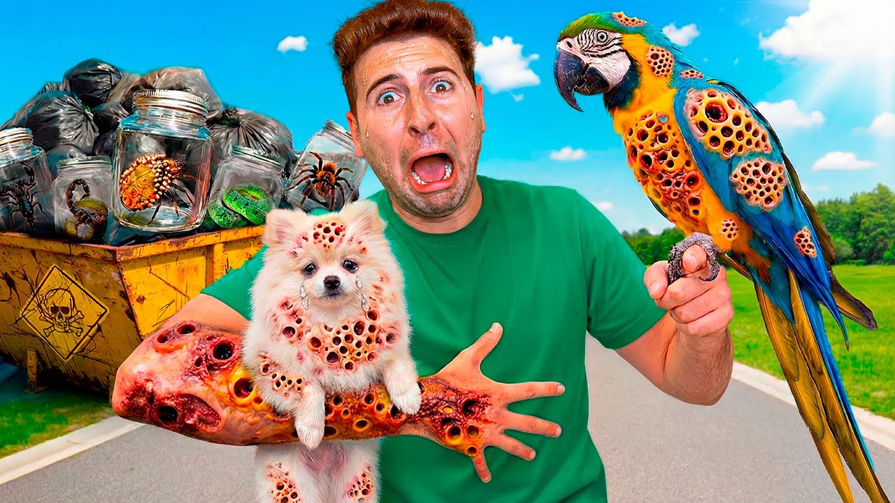TODOS OS MEUS ANIMAIS ABANDONADOS FORAM PICADOS POR UM INSETO BIZARRO NO LIXO! 