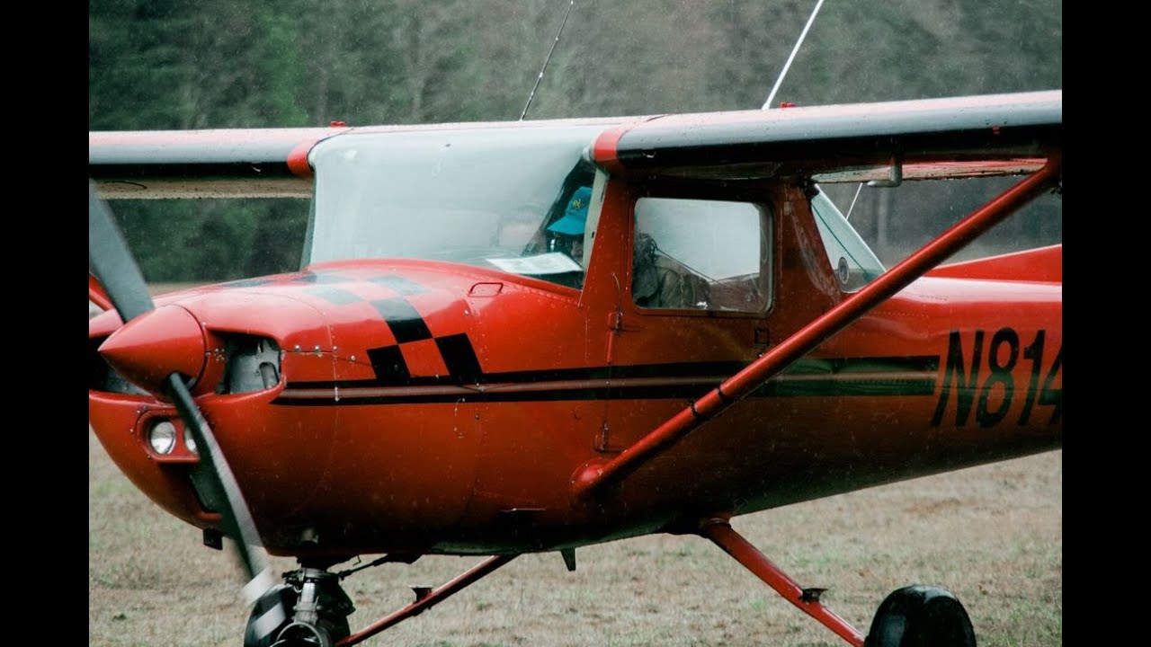 🔴The Red Bird, Scarlet -- The Documentary Filmed By (Knox Video)🔴