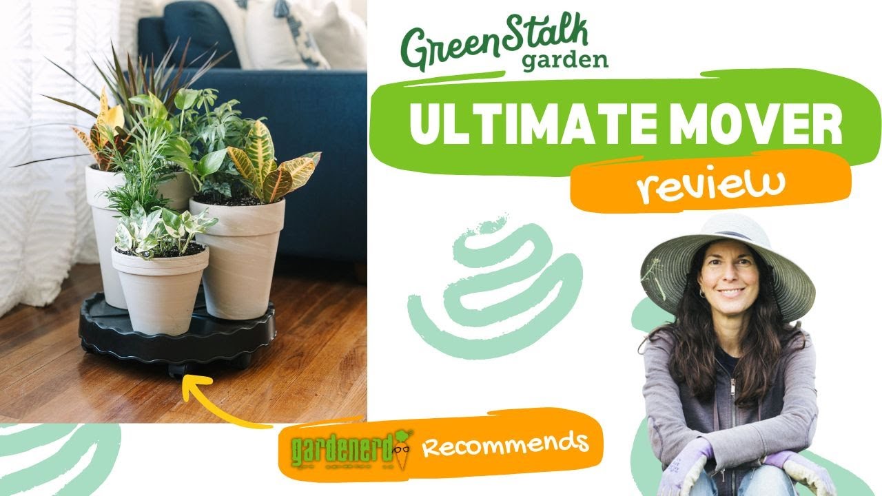 Обзор Greenstalk Ultimate Mover — отлично подходит для выращивания растений в контейнерах в помещ...