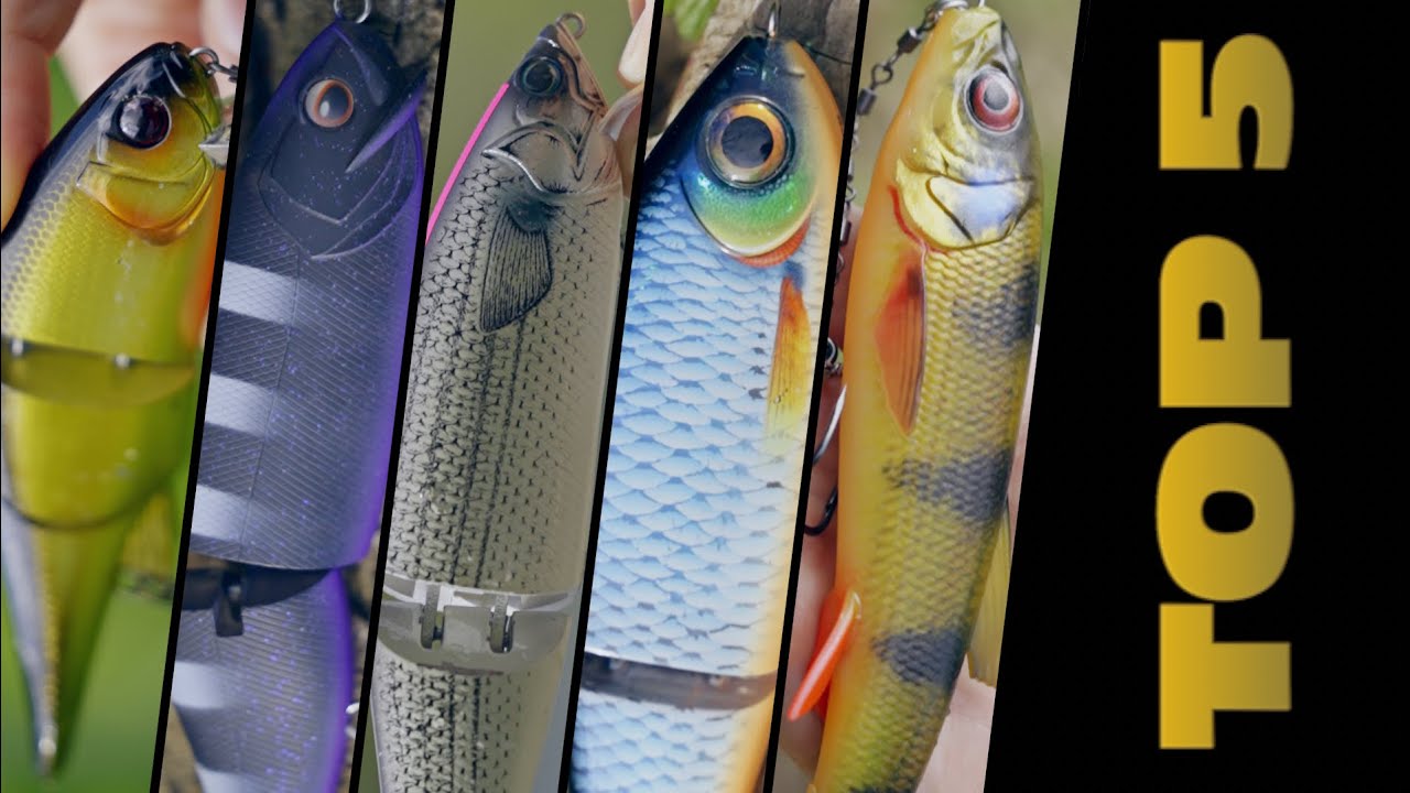 Ouverture BROCHET 2024 : TOP 5 des nouveautés les plus excitantes !!!