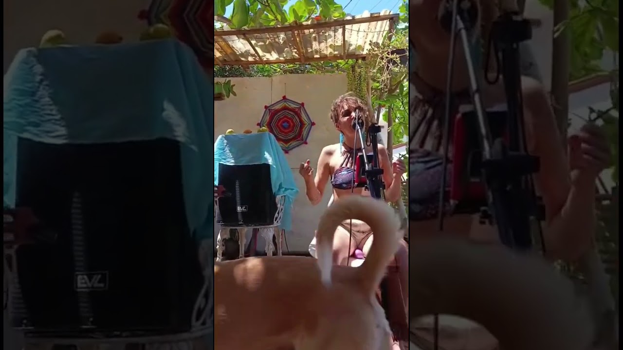 d&uacute;o ac&uacute;stico // acoustic duo #live #music #folk #mexico #latinfolk #creative #lifestyle #singer