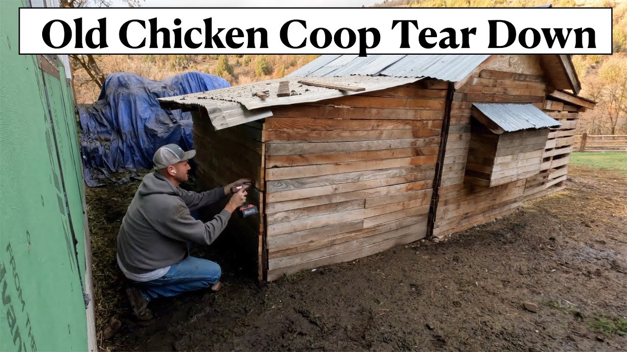#534 - Setting More Posts For New Barn. Tore Down Old Chicken Coop.