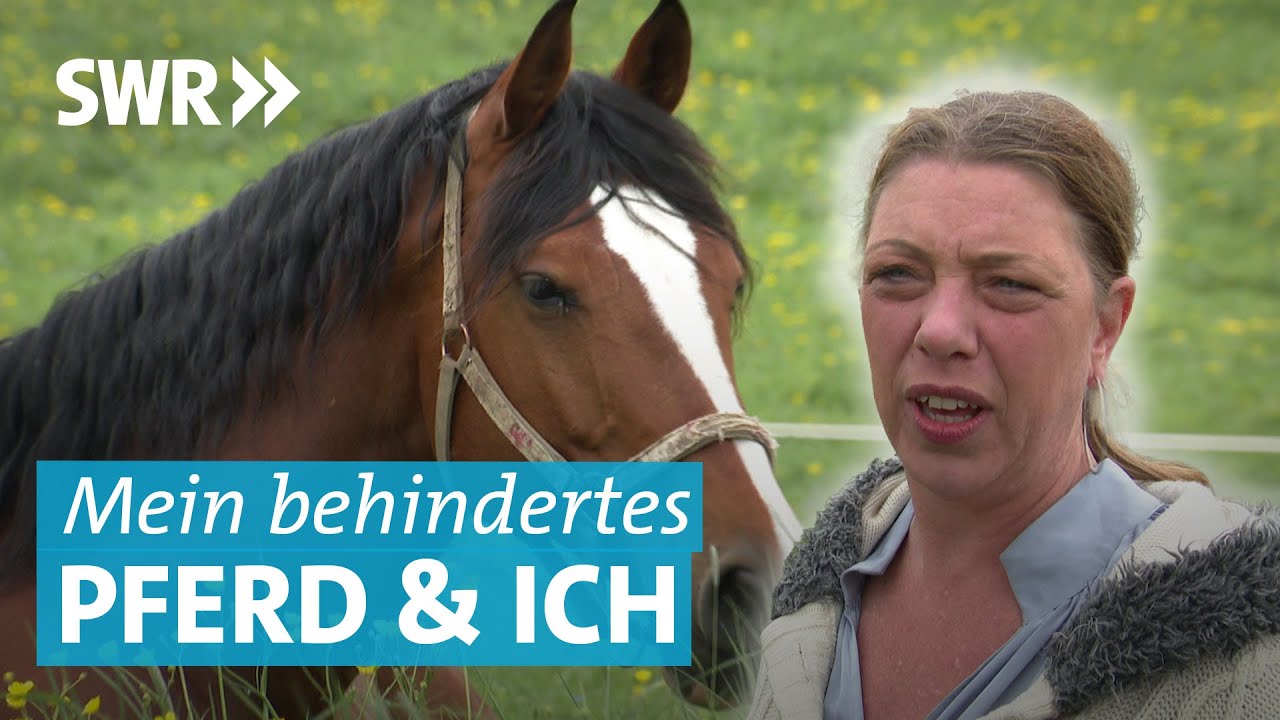 Pferd mit Ataxie – Tina rettete Capi vor dem Schlachter