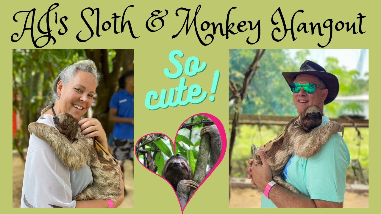 SLOTH HUGS!!  AJ's Sloth & Monkey Hangout through Real Deal Roatan Tours