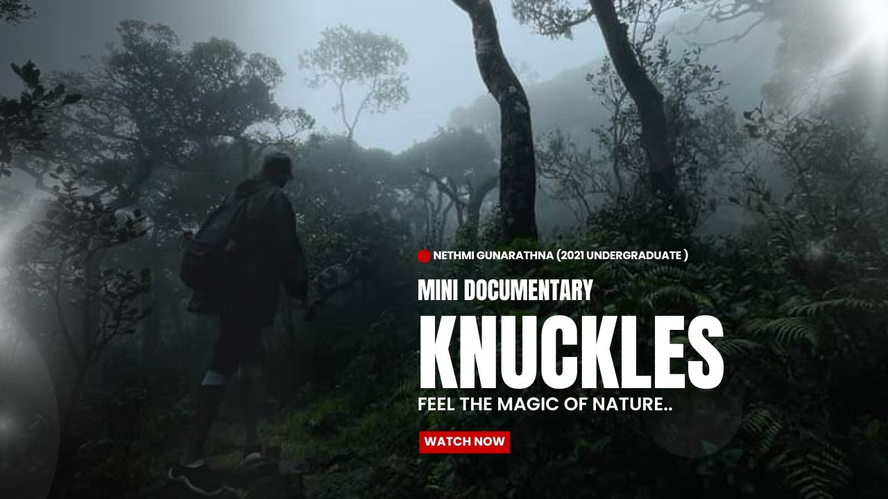 Knuckles Mountain Range Documentary.📹👣🍃