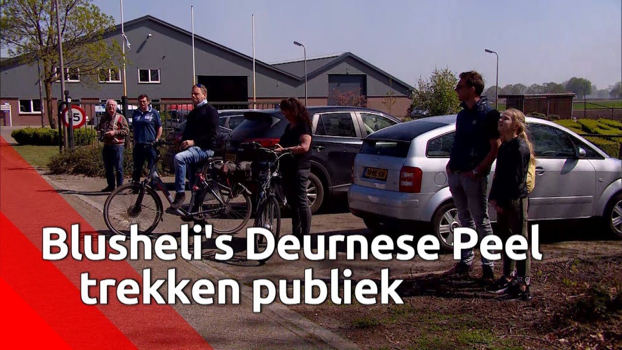 Op- en af vliegende chinooks trekken publiek in Deurnese Peel