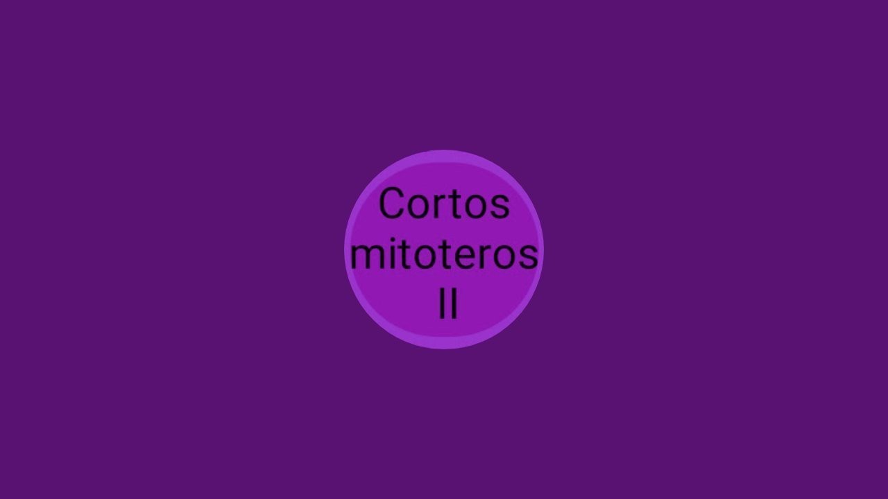 El viaje no resultó con las vistas esperadas⁉️😱Qué pasó⁉️🤭😂🤣🤣