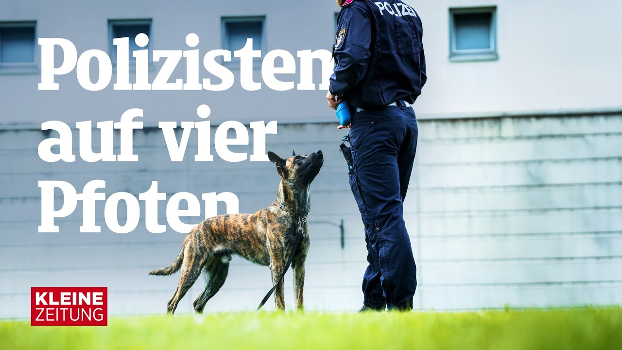 „Wir brauchen keine bitterbösen Hunde“ | Polizeihundeausbildung