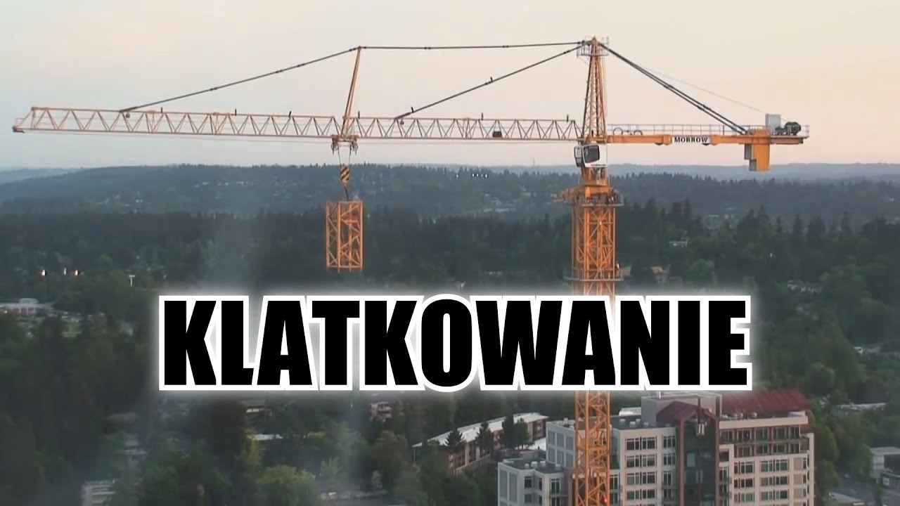 Klatkowanie Żurawia Wieżowego