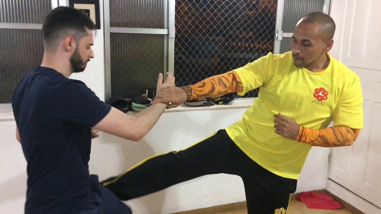 Conceitos do Wing Chun: Lap Sao, Dan Chi Sao e Outros