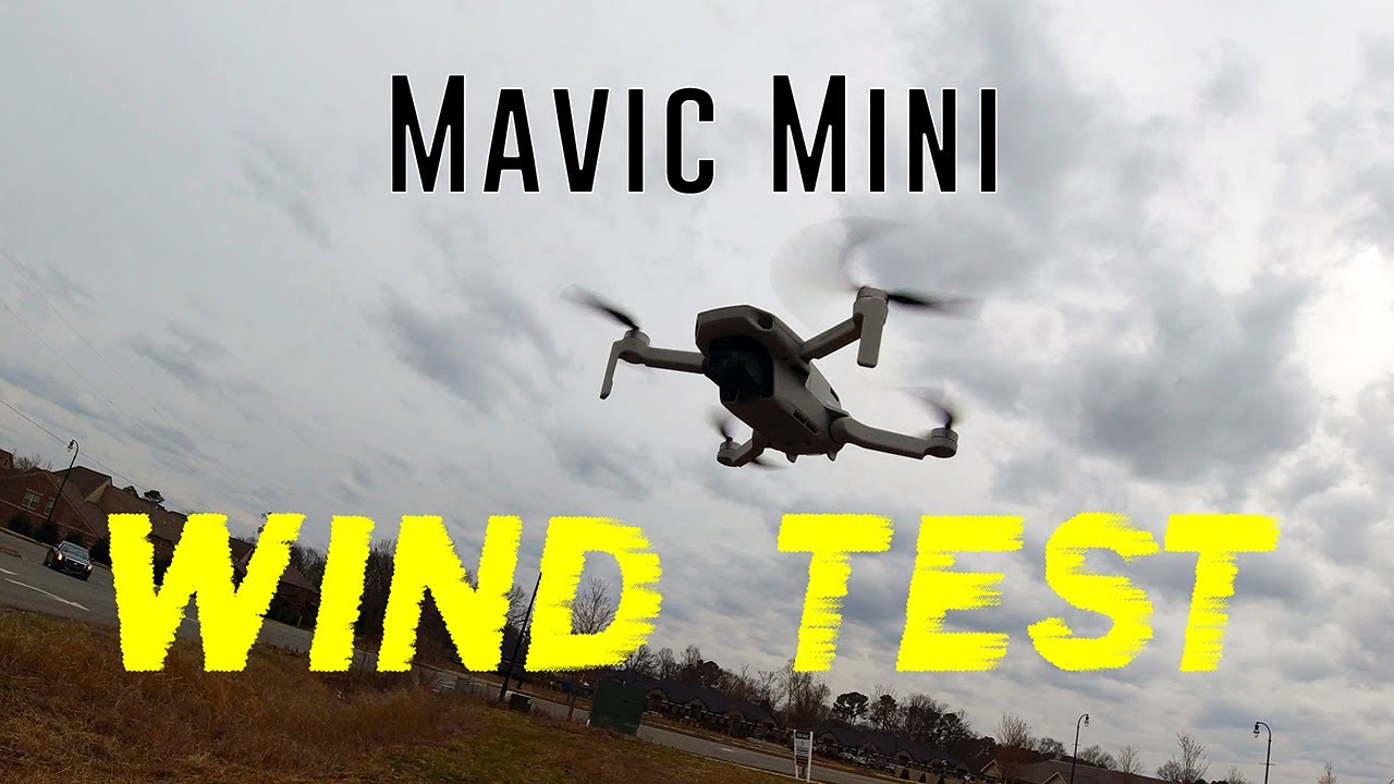 Mavic Mini WIND TEST - KEN HERON