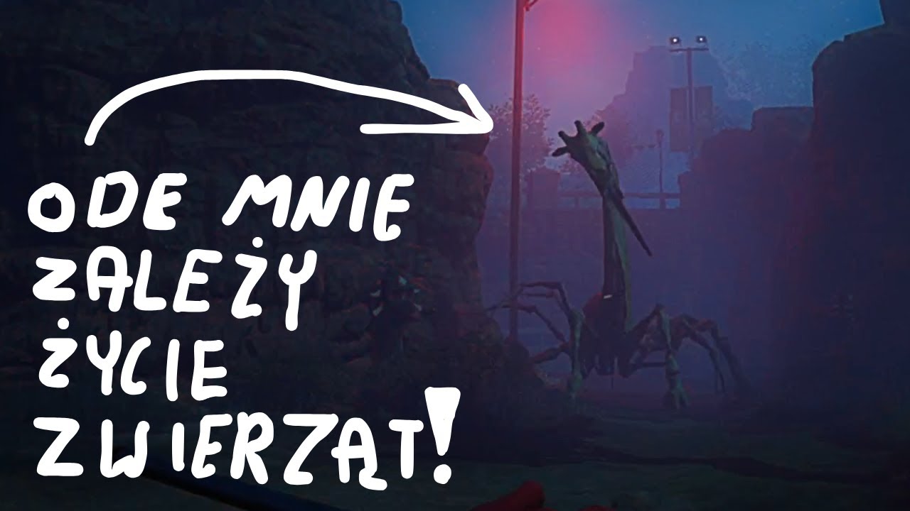 To NIE JEST zwyczajne ZOO...