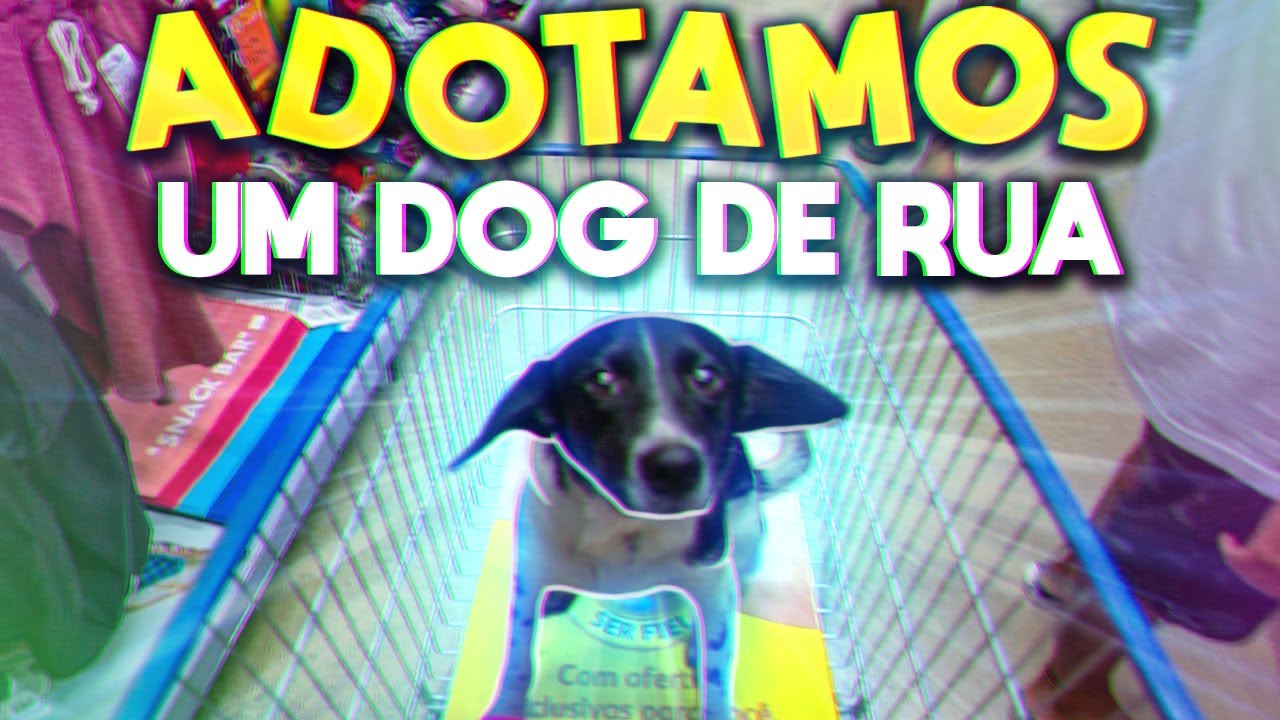 ADOTAMOS UM CACHORRO DE RUA! *ME AJUDE A ESCOLHER O NOME!!*