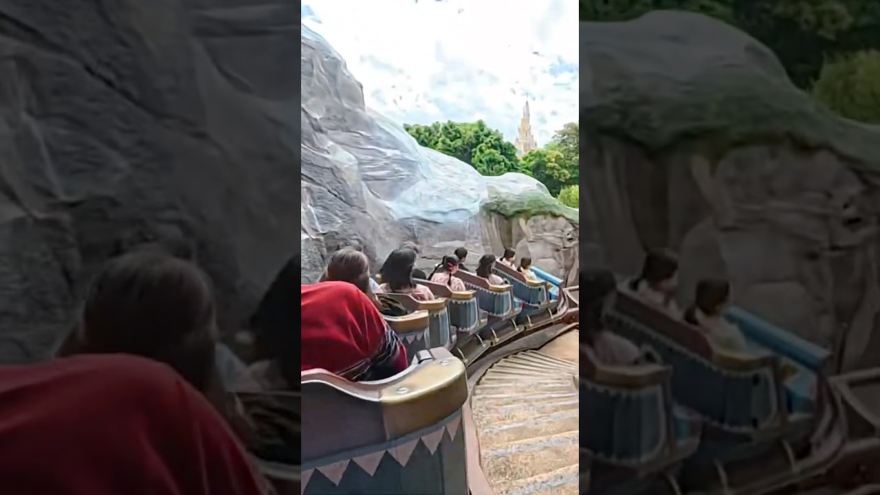 Wandering Oaken Sliding Sleigh #disneyland