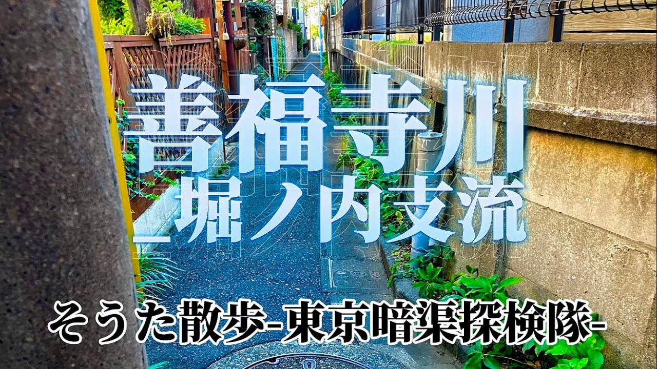 #暗渠 善福寺川_堀ノ内支流 #そうた散歩 #東京暗渠探検隊 