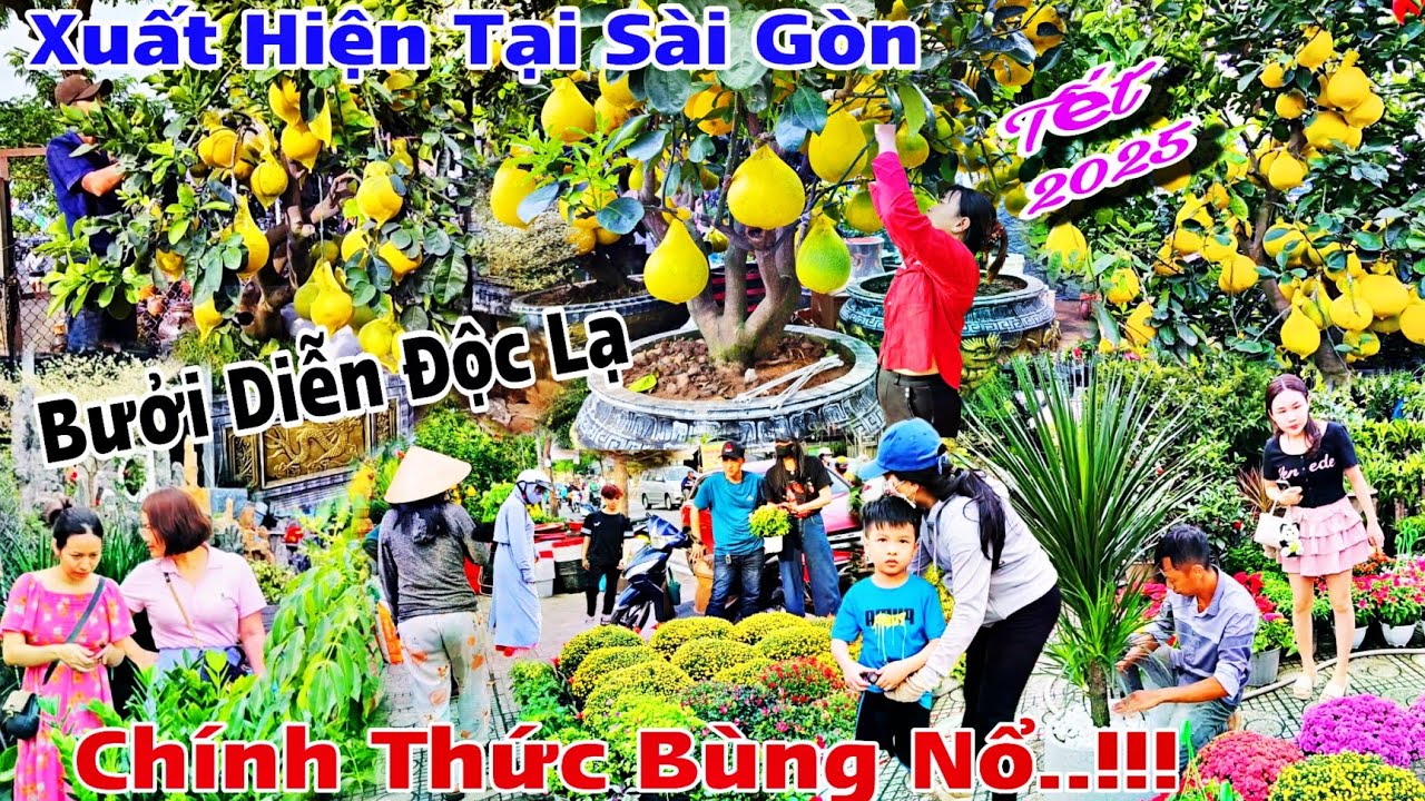 Bùng Nổ Hoa Tết Sài Gòn 2025 nhiều hoa kiểng độc lạ