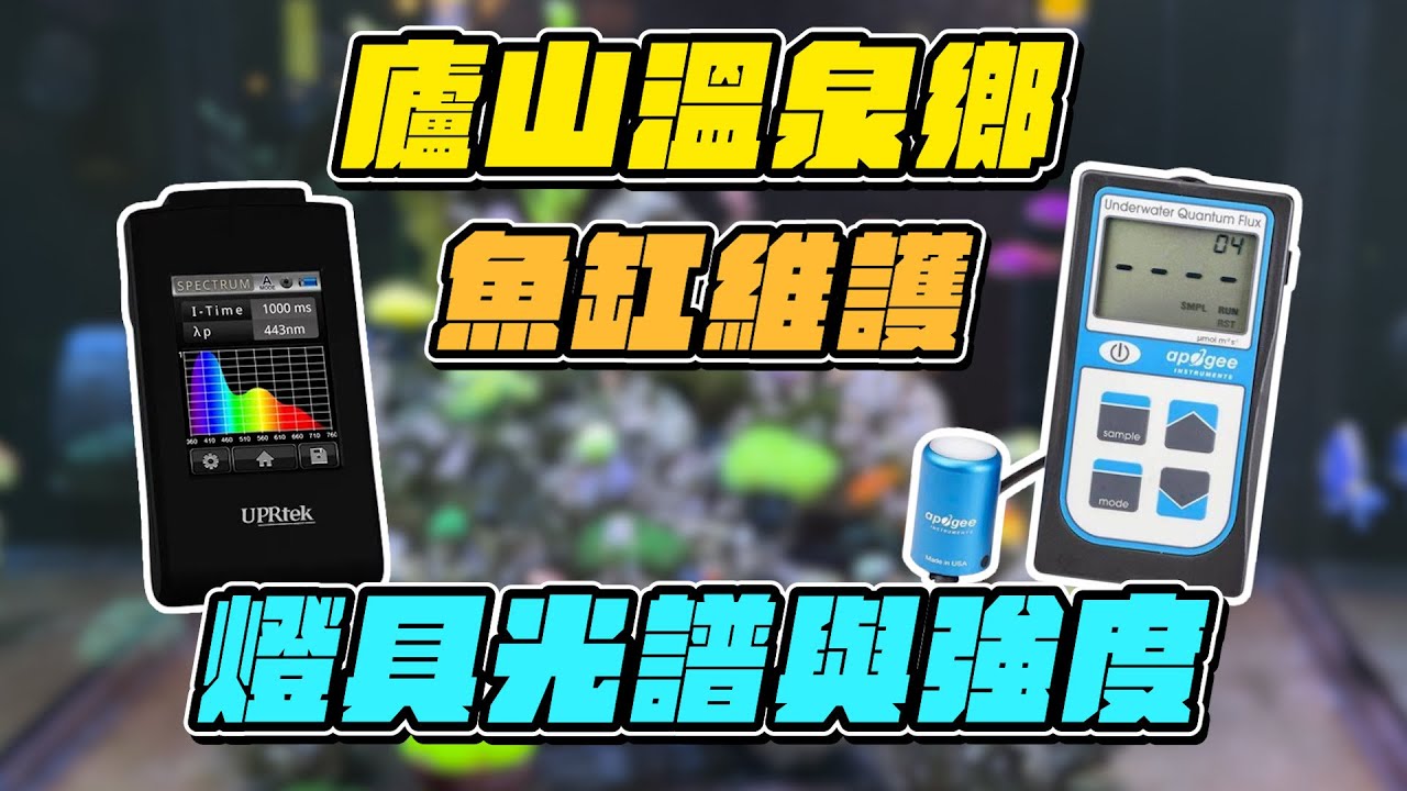 【藍箱水族】珊瑚光譜調整大公開！廬山雲鄉山莊溫泉會館～超棒的溫泉與珊瑚缸魚缸維護！