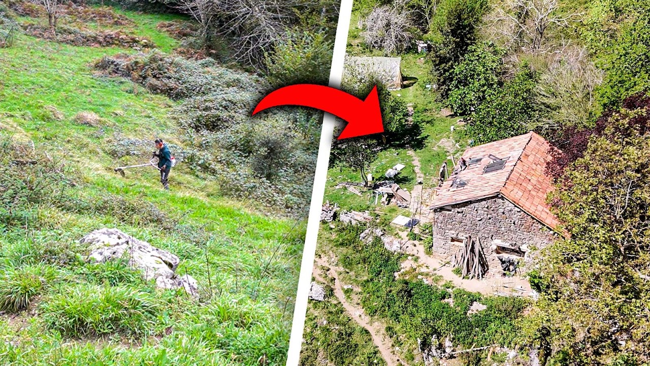 #55 🌳 Limpieza y Desbroce de CABAÑA ABANDONADA de más de 150 años || Construyendo en el Paraíso