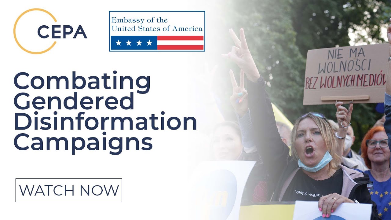 Combating Gendered Disinformation Campaigns