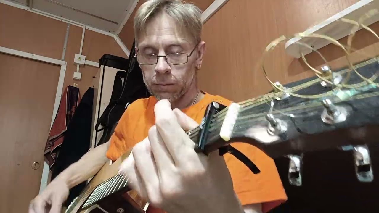 Дельфин 