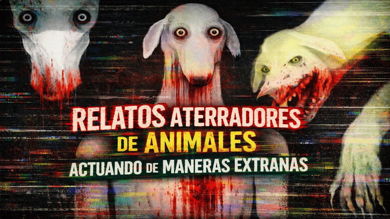 RELATOS ATERRADORES DE ANIMALES ACTUANDO DE MANERAS EXTRAÑAS