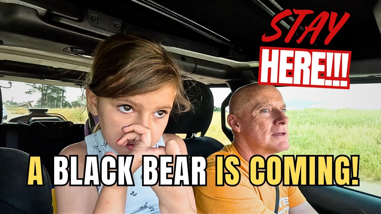 ANIMAL ENCOUNTERS UP CLOSE 🐻  BEAR COUNTRY WOW!🐻✨