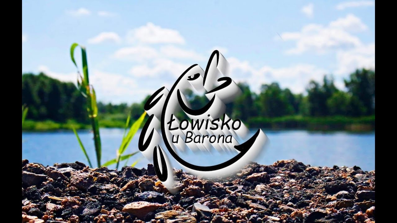 Karpie z rzutu i nęcenie punktowe łowisko U Barona