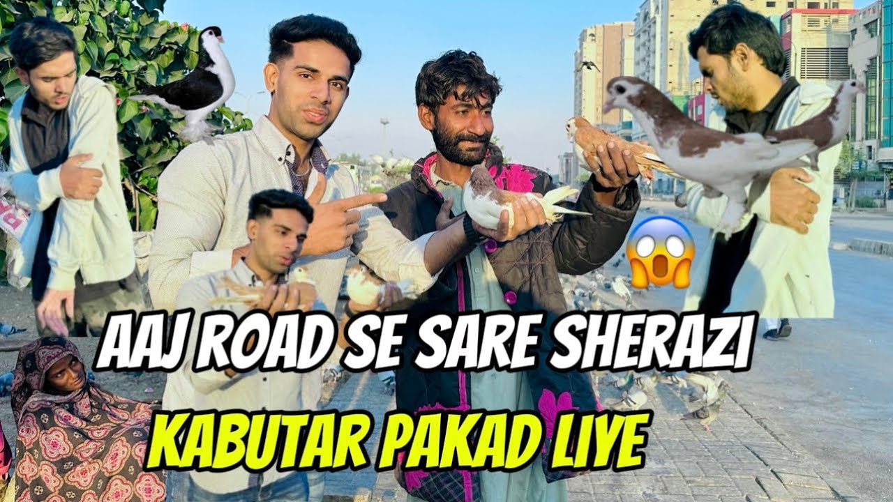 😱🕊️🦜Aaj road se Sare Sherazi  kabutar pakad Liye 😍🕊️🦃😱