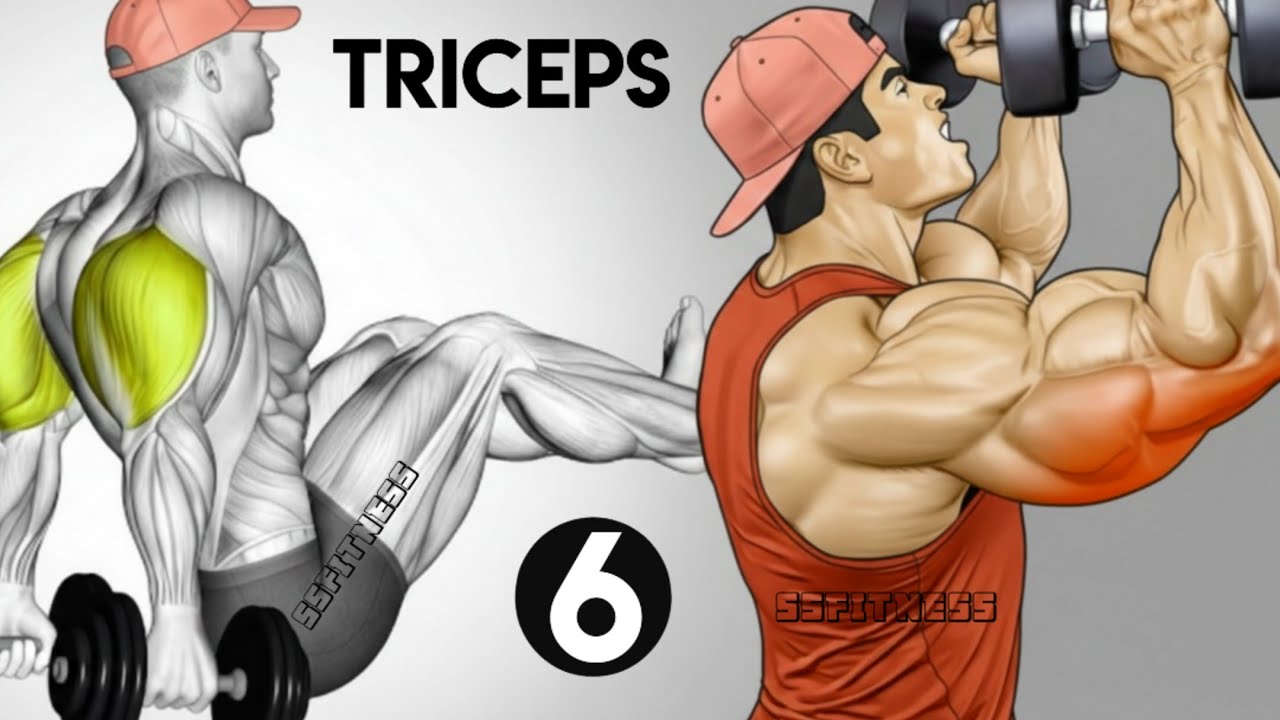6 Best Triceps Exercises To Get Big Arms