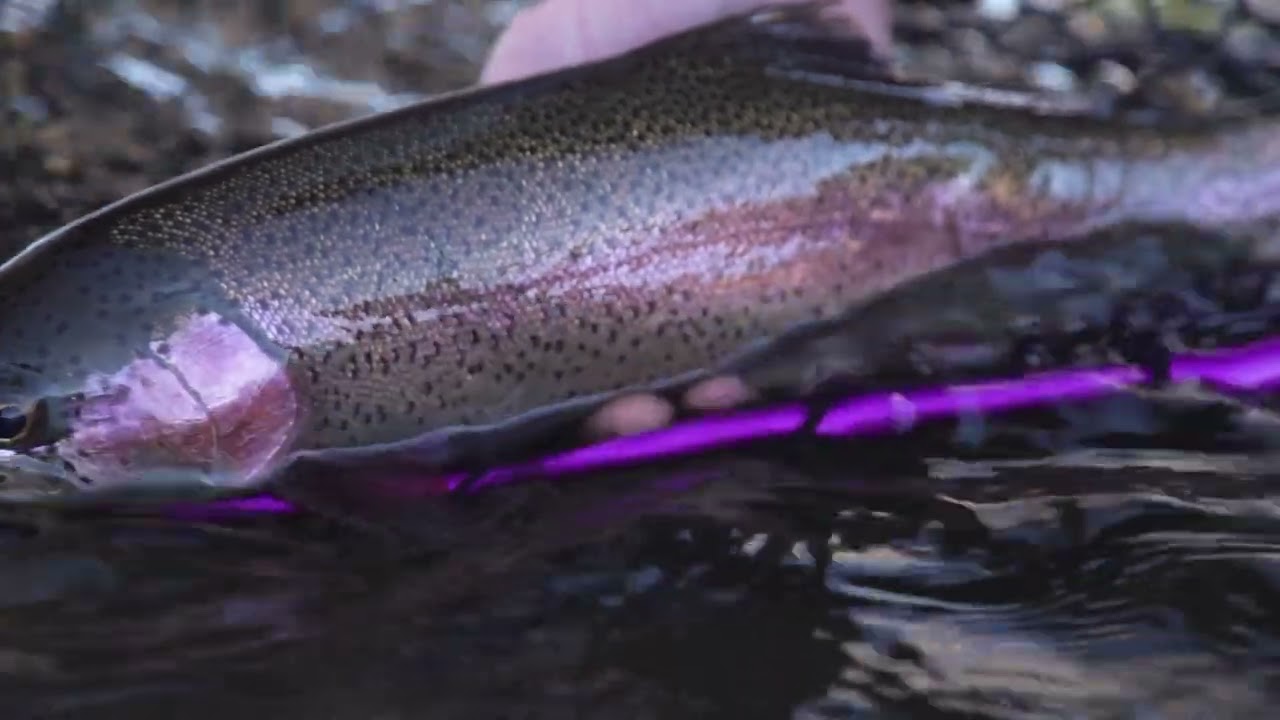 THE SWING OF THINGS - Trout Spey on the Missouri River Montana