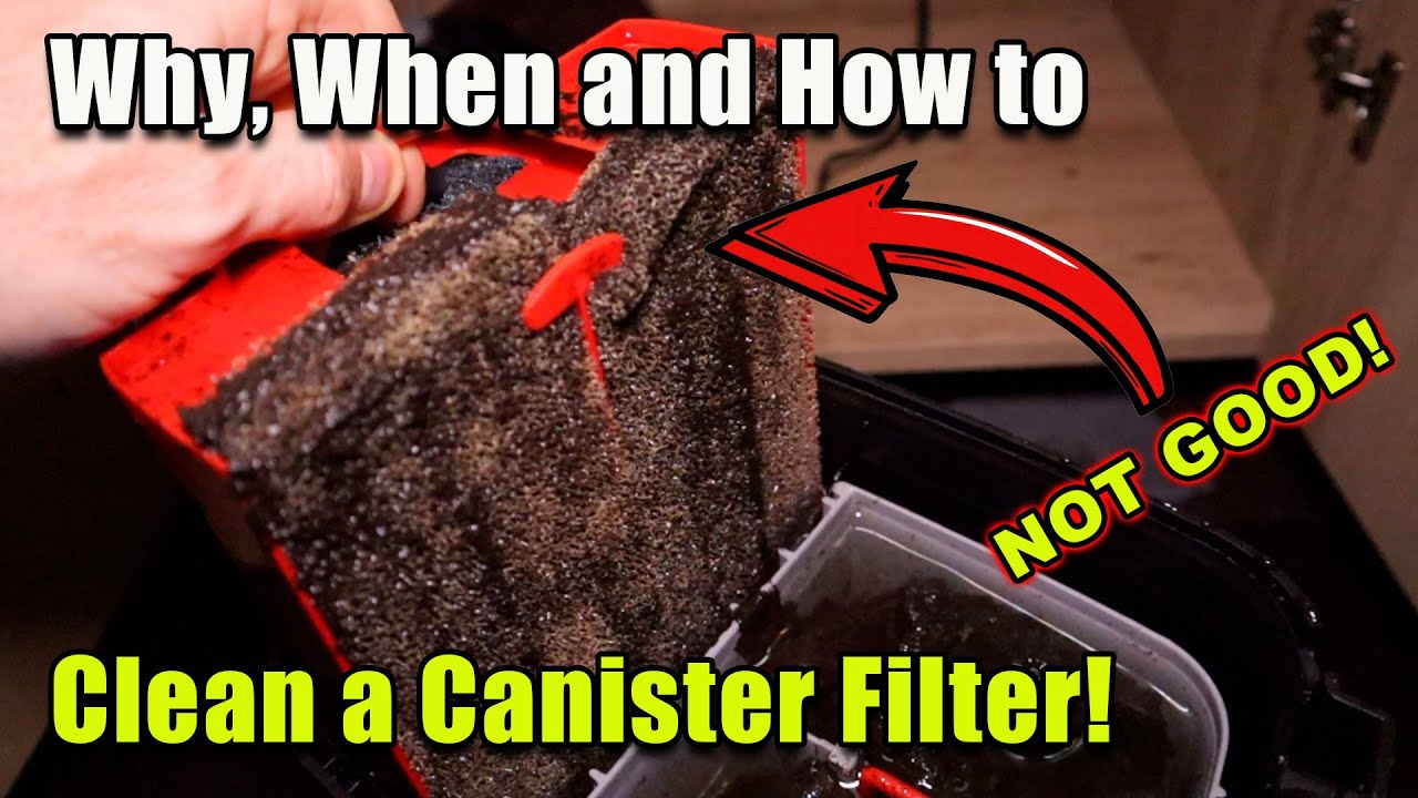 Why | When | How to Clean a Canister Filter